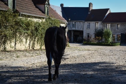 La Ferme du Grand Logis